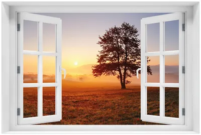 Produktbild von Wallario Premium Glasbild mit Fensterrahmen, freischwebende Optik, kräftige Farben, Größe 60 x 90 cm Motiv Sonnenaufgang über der Wiese mit Nebel