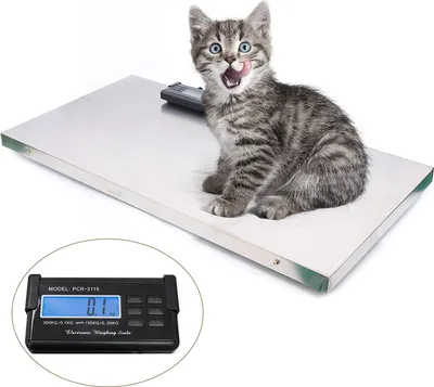 Produktbild von Tierwaage Veterinärwaage  Paketwaage  Plattformwaage Industriewaage Max 300kg  Hochpräzise Lastenwaage  Edelstahl Hundewaage Viehwaage Digitalwaage