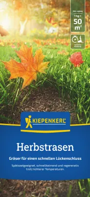 Produktbild von Kiepenkerl Saatgut Kiepenkerl Herbstrasen 1 kg für ca. 50 m²