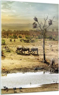 Produktbild von Bilder auf glas - Einteilig - Safari Tiere - 50x70cm - Glasbilder - Wandbilder - Bilder - Kunstdruck - zum Aufhängen bereit - Wanddekoration aus Glas - Glas Bilder - Wandbild auf Glas - GPA50x70-3880