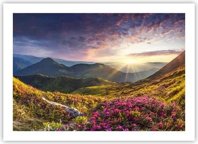 Produktbild von Poster - Poster ohne Rahmen - Gebirge Wiese Landschaft Wald - 70x50 cm - Wand Bild - Wanddeko - Wandbilder - Kunstposter - Wandposter - Bilder - Kunstdruck - Wandbild - P2XAA70x50-3152