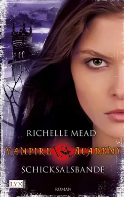 Produktbild von Vampire Academy 06