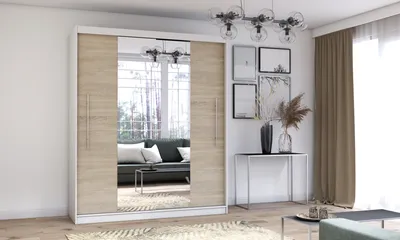 A modern bedroom or living room with a large sliding door wardrobe with mirrored doors.