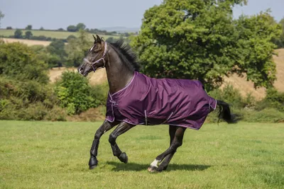Produktbild von Bucas Freedom Turnout Light 0g