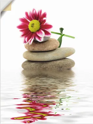 Produktbild von ARTland Wandbild, selbstklebend Zen Spa Steine mit Blumen Größe: 45x60 cm