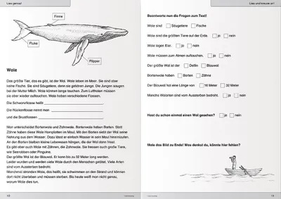 Produktbild von Ich kann lesen 3. Schüler-Arbeitsheft für die 2. und 3. Klasse