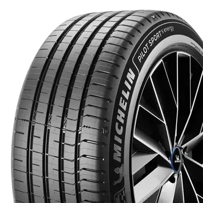 Image de 255/40R20 101Y Pilot Sport 5 Energy Xl Rg Ev Frv