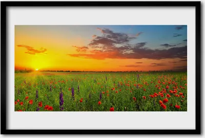 Produktbild von Bild 60x40 MDF-Rahmen Wandkunst Sun Wiese Blumen Natur