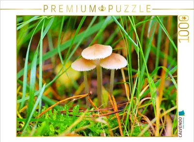 Produktbild von CALVENDO Puzzle Helmlinge 1000 Teile Puzzle quer | 1000 Teile Lege-Größe 64x48cm Foto-Puzzle für glückliche Stunden