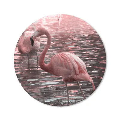 Produktbild von MuchoWow® Mauspad Mousepad Eine Gruppe von Flamingos steht im Wasser 20x20 cm - Mousepads - Maus Mat - Pad - Mausunterlage - Schreibtischmatte