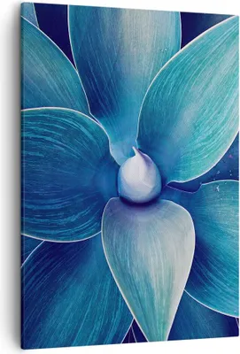 Produktbild von Bild auf Leinwand - Leinwandbild - Einteilig - Agave Blau Blume - 50x70cm - Wand Bild - Wanddeko - Wandbilder - Leinwanddruck - Kunstdruck - Wanddekoration - Leinwand bilder - Wandbild - PA50x70-4972