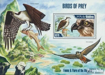 Produktbild von Briefmarken Malediven 2013 Mi Block 651 (kompl. Ausg.) postfrisch Raubvögel