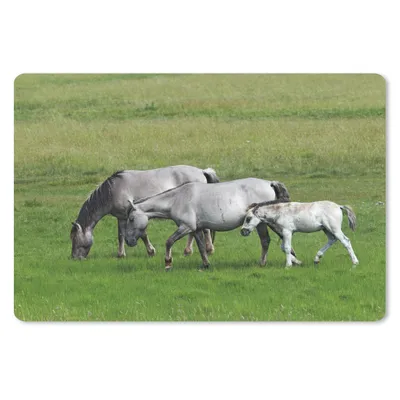 Produktbild von MuchoWow® Schreibtischunterlage Pferde - Tiere - Gras 60x40 cm - XXL Mauspad - Großes Mauspad