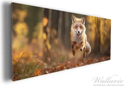 Produktbild von Wallario Premium Leinwandbild Rennender Fuchs in Größe 30 x 75 cm
