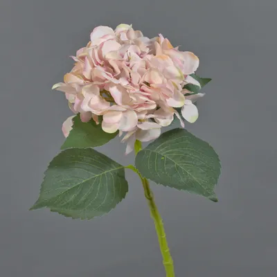 Produktbild von artplants.de Künstliche Blume Hortensie FUXIANG, rosa-Creme, 50 cm - Künstlicher Blumenzweig