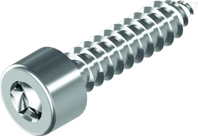 Produktbild von Schäfer + Peters GmbH Blechschrauben mit Innensechskant-Zylinderkopf, A2, 5,5 x 65, Ant.gr. 5
