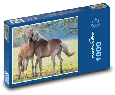 Zdjęcie produktu dla Puzzle 1000 Dwa konie na łące - martinpuzzle