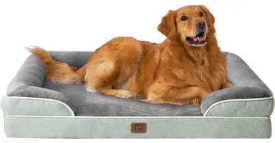 Immagine prodotto di Cuccia ortopedica per cani, taglia XL, 112x81 cm, realizzata in memory foam, con cestino lavabile, impermeabile e antiscivolo, colore grigio-verde