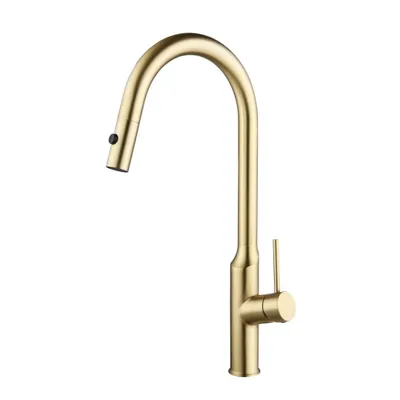 Produktbild von GranMaster SYLORA – Moderne Küchenarmatur in gebürstetem Gold, Ausziehbar, Schwenkbar, Aus Edelstahl, Für stilvolle Küchen