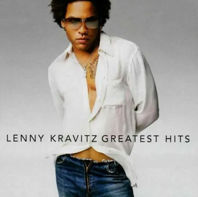 Image de Lenny Kravitz - Les plus grands succès en vinyle