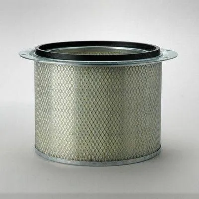Produktbild von DONALDSON P523048 Sekundärluftfilter 8N2556 AF523048