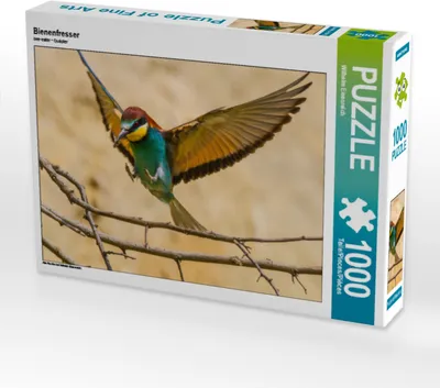 Produktbild von CALVENDO Puzzle Bienenfresser | 1000 Teile Lege-Größe 64x48cm Foto-Puzzle für glückliche Stunden
