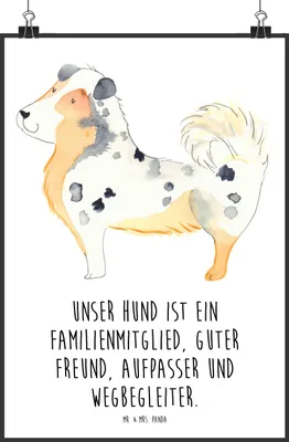 Produktbild von Mr. & Mrs. Panda Bild Hund Australien Shepherd DIN A1 - Weiß - Geschenk, kunstdruck poster, wanddeko, Spruch, Sprüche, drucke, Plakat, Wandbild, Familie