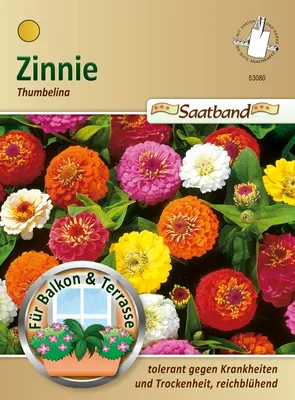 Produktbild von Zinnie Thumbelina (Saatband) | Zinniensamen von N.L. Chrestensen