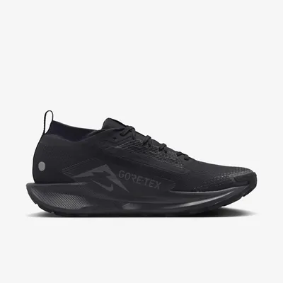 Productafbeelding van Schoenen Nike Pegasus Trail 5 Gtx FQ0908002