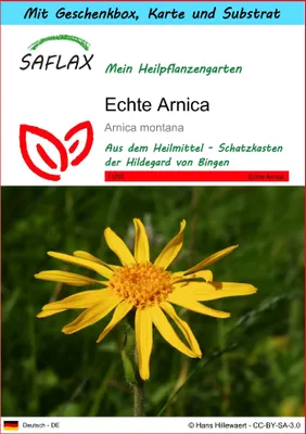Produktbild von SAFLAX - Geschenk Set - Heilpflanzen - Echte Arnica - 40 Samen - Mit Geschenk- / Versandbox, Versandaufkleber, Geschenkkarte und Anzuchtsubstrat - Arnica montana