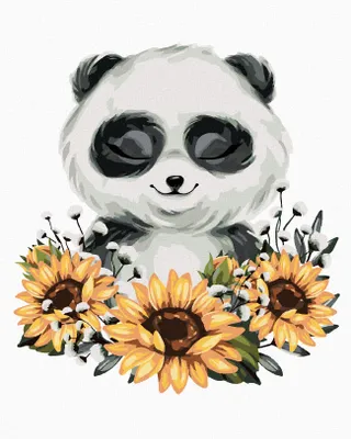 Produktbild von Zuty - Malen nach Zahlen - PANDA MIT SONNENBLUMEN, 40x50 cm, mit Keilrahmen (bereits gespannt)
