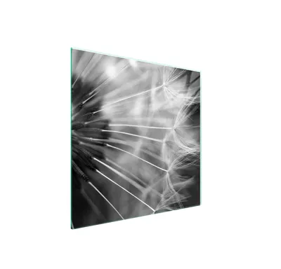 Produktbild von Glasschutzplatte Für Herd 50X52 Blume