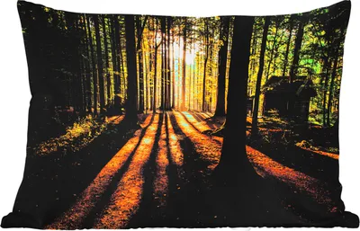 Produktbild von MuchoWow® Outdoor Kissen - Sonne - Bäume - Wald - Landschaft - Natur - 50x30 cm - Wetterfest - Lounge Kissen - Sofa kissen - Wohnzimmer Dekoration