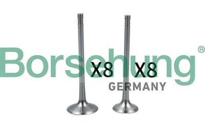 Immagine prodotto di Borsehung B18637: Valvola di aspirazione per VW Golf IV, versione hatchback (1J1)
