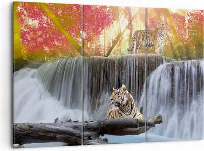 Produktbild von Bild auf Leinwand - Leinwandbild - Tiger natur tier paradies - 105x70cm - Wand Bild - Wanddeko - Leinwanddruck - Bilder - Kunstdruck - Wanddekoration - Leinwand bilder - Wandkunst - CE105x70-2396