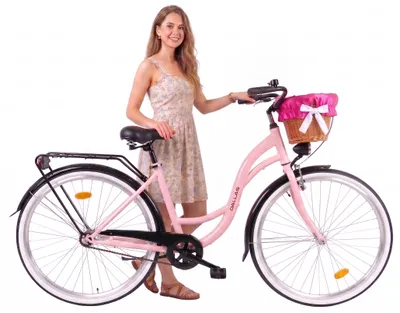 Produktbild von Dallas Bike Damenfahrrad 28 Zoll - Mit Weidenkorb - 1-Gang Rücktritt - Rahmen M 18" - Rosa-Schwarz