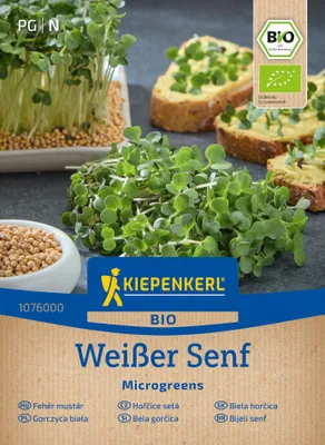 Artikelbild 2 von 'BIO Microgreens Weißer Senf' aus der Kategorie Keimsprossen