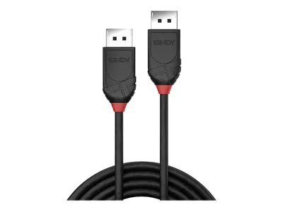 Obrázok produktu pre Lindy DisplayPort-Kabel - DisplayPort (M)