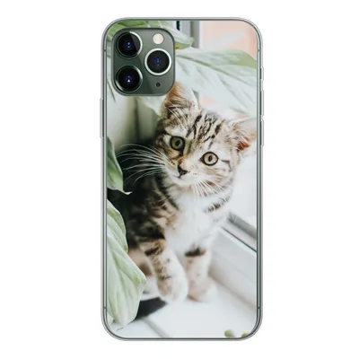 Produktbild von MuchoWow® Handyhülle Schutzhülle Hülle für iPhone 11 Pro Katze - Kätzchen - Pflanzen Silikon Softcase Handy Hülle - Handy