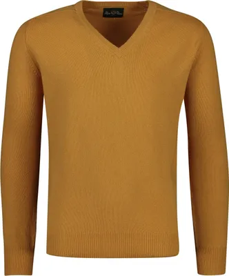 Produktbild von Alan Paine Pullover V-Ausschnitt Erntegold