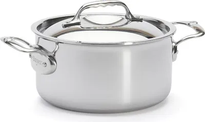 A stainless steel pot with a lid and handles, shown from a slightly elevated side view against a white background.