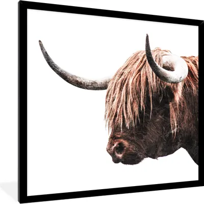 Produktbild von MuchoWow® MuchoWow® Gerahmtes Poster Schottisches Hochlandrind - Tiere - Hörner 40x40 cm - Poster mit zchwarzem Bilderrahmen - Mit Rahmen - Wanddekoration Schlafzimmer