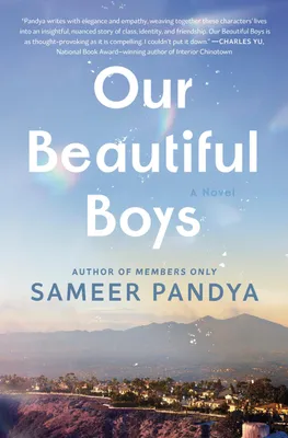 Produktbild von Our Beautiful Boys