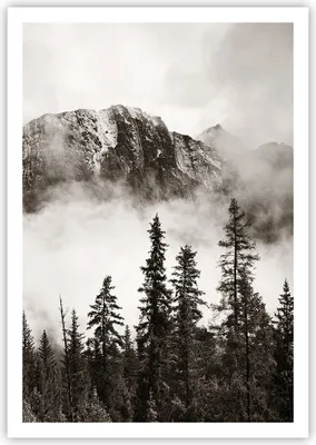 Produktbild von Poster - Poster ohne Rahmen - Nebel Berg Wald - 70x100 cm - Wand Bild - Wanddeko - Wandbilder - Kunstposter - Wandposter - Bilder - Kunstdruck - Wanddekoration - Wandbild - P2XPA70x100-4936