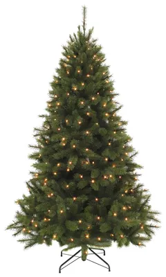 Productafbeelding van Triumph Tree Bristlecone Kunstkerstboom met Verlichting - Kerstboom H155 x 99 cm - Kunstboom met 144 LED's - 438 Takken - met Metalen Standaard - Makkelijk Opzetten - Groen