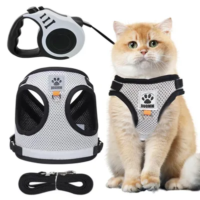 Productafbeelding van Katzengeschirr met Leine, Verstelbaar en Uitbraakveilig voor Katten (S)