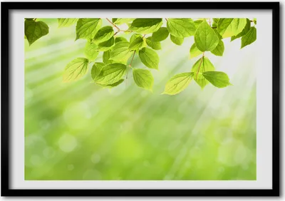 Produktbild von Bild - Bilder - Bilderrahmen - 70 cm x 50 cm - MDF-Rahmen, Wandkunst Blätter