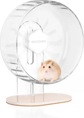 Produktbild von Transparentes Hamsterrad 26cm – Leise Laufrad für Hamster - Rutschfeste Laufscheibe