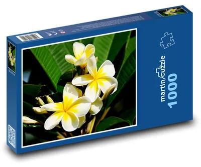 Zdjęcie produktu dla Puzzle 1000 Kwiaty plumeryi na krzewie - martinpuzzle