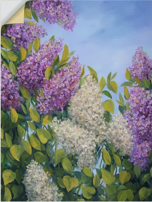 Produktbild von ARTland Wandbild, selbstklebend Fliederbusch Größe: 30x40 cm